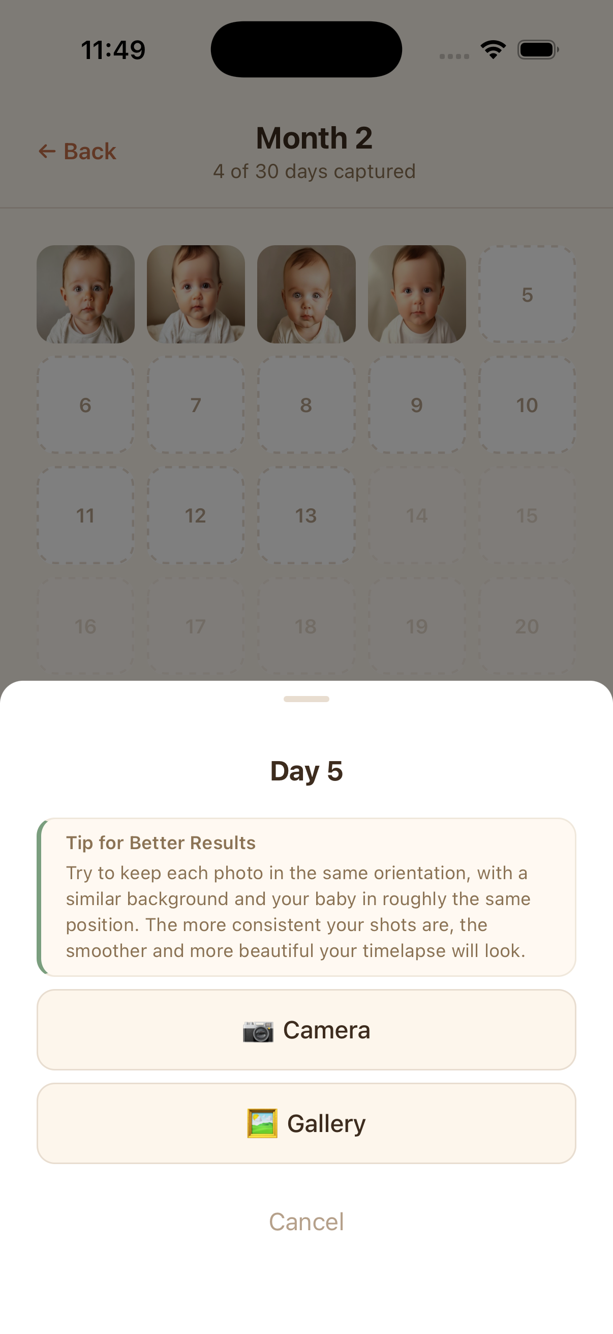 Turn photos into a monthly timelapse